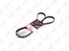 LYNXauto 5PK1765 V-Ribbed Belts