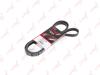 LYNXauto 5PK2020 V-Ribbed Belts