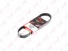 LYNXauto 6PK0678 V-Ribbed Belts