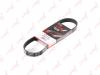 LYNXauto 6PK0700 V-Ribbed Belts