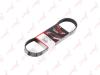 LYNXauto 6PK0738 V-Ribbed Belts