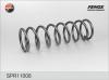 FENOX SPR11008 Coil Spring