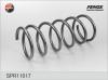 FENOX SPR11017 Coil Spring