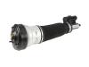MERCEDES-BENZ 2203202238 Replacement part