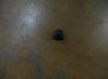 GEELY 1068000202 Replacement part