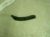 GEELY 1068003038 Replacement part