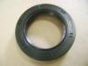 GREAT WALL 1701510S Replacement part