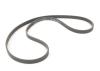 VAG 022145933P V-Ribbed Belts