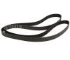VAG 077109119E Timing Belt