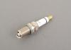 VAG 101000044AA Spark Plug
