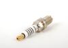 VAG 101000054AD Spark Plug