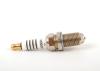 VAG 101000054AD Spark Plug