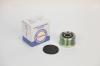 TORQUE KR6010 Alternator Freewheel Clutch