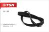 TSN 10130 Replacement part