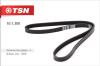 TSN 101300 Replacement part
