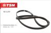 TSN 101311 Replacement part