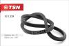 TSN 10.1.329 (101329) Replacement part