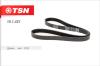 TSN 10.1.421 (101421) Replacement part