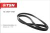 TSN 10.1.437-1725 (1014371725) Replacement part