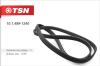 TSN 10.1.499-1240 (1014991240) Replacement part