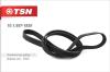 TSN 10.1.557-1920 (1015571920) Replacement part
