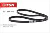 TSN 10.1.666-1680 (1016661680) Replacement part