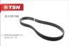 TSN 10.1.707-745 (101707745) Replacement part