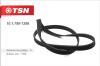 TSN 10.1.790-1386 (1017901386) Replacement part