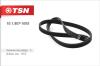 TSN 10.1.807-1055 (1018071055) Replacement part