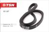 TSN 10187 Replacement part