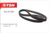 TSN 102111225 Replacement part