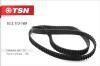 TSN 10.2.113-169 (102113169) Replacement part