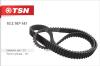 TSN 10.2.167-141 (102167141) Replacement part