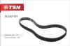 TSN 10.2.43-101 (10243101) Replacement part