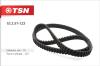 TSN 10.2.51-123 (10251123) Replacement part