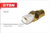 TSN 4.2.31 (4231) Replacement part