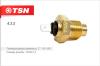 TSN 4.3.2 (432) Replacement part