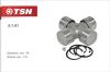 TSN 5141 Replacement part
