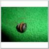 SSANGYONG 0019901117 Replacement part