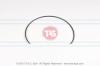 TAS T14487 Replacement part
