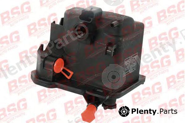  BSG part BSG30-130-007 (BSG30130007) Fuel filter