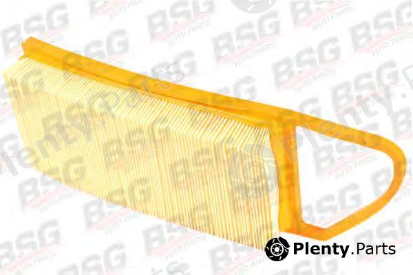  BSG part BSG30-135-010 (BSG30135010) Air Filter