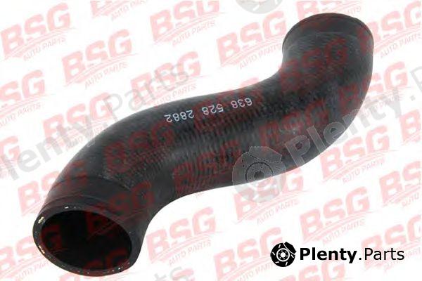  BSG part BSG60-720-013 (BSG60720013) Charger Intake Hose