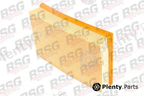  BSG part BSG30-135-004 (BSG30135004) Air Filter