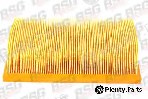  BSG part BSG30135007 Air Filter