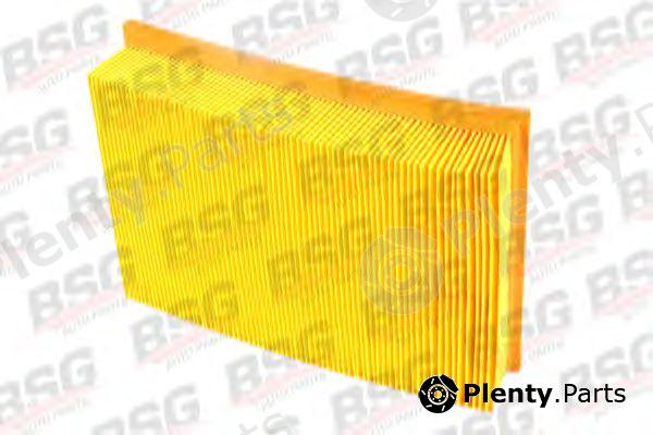  BSG part BSG30-135-009 (BSG30135009) Air Filter
