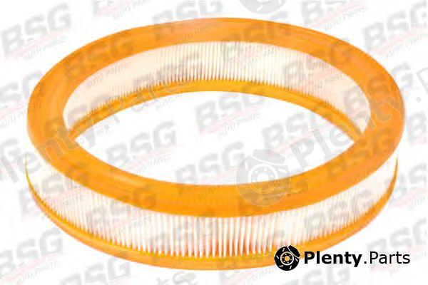  BSG part BSG30135013 Air Filter