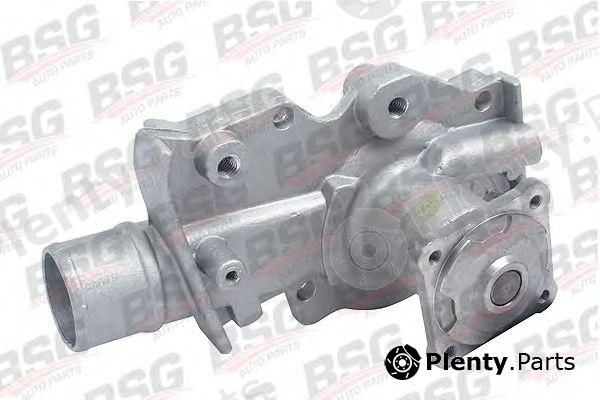  BSG part BSG30-500-005 (BSG30500005) Water Pump