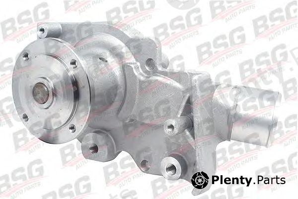  BSG part BSG30-500-016 (BSG30500016) Water Pump