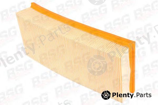  BSG part BSG30135002 Air Filter